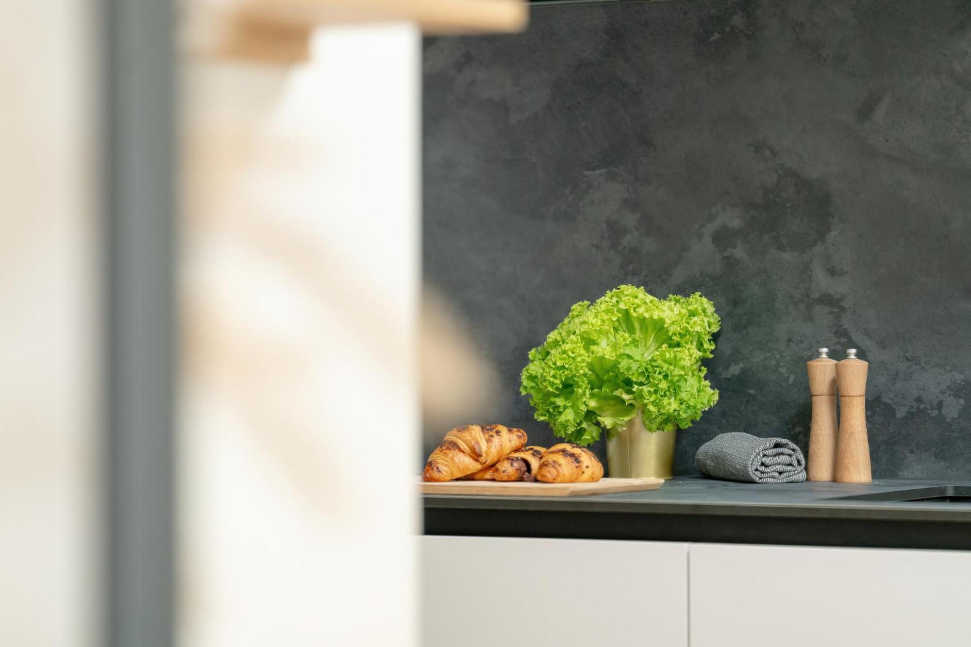 Palm - Centrum Plac Wolnosci 6 - Kramm Apartmán *